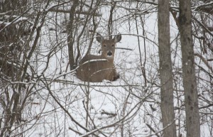 8475380401_92af07f0c4_o